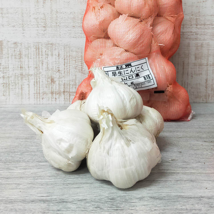 アイマサリ種芋　20キロ ジャガイモ種芋 アイマサリ MLサイズ 検査票あり 20キロ