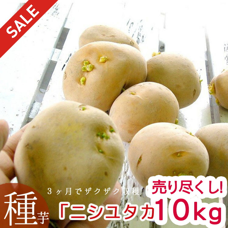 nisiyutaka10.jpg