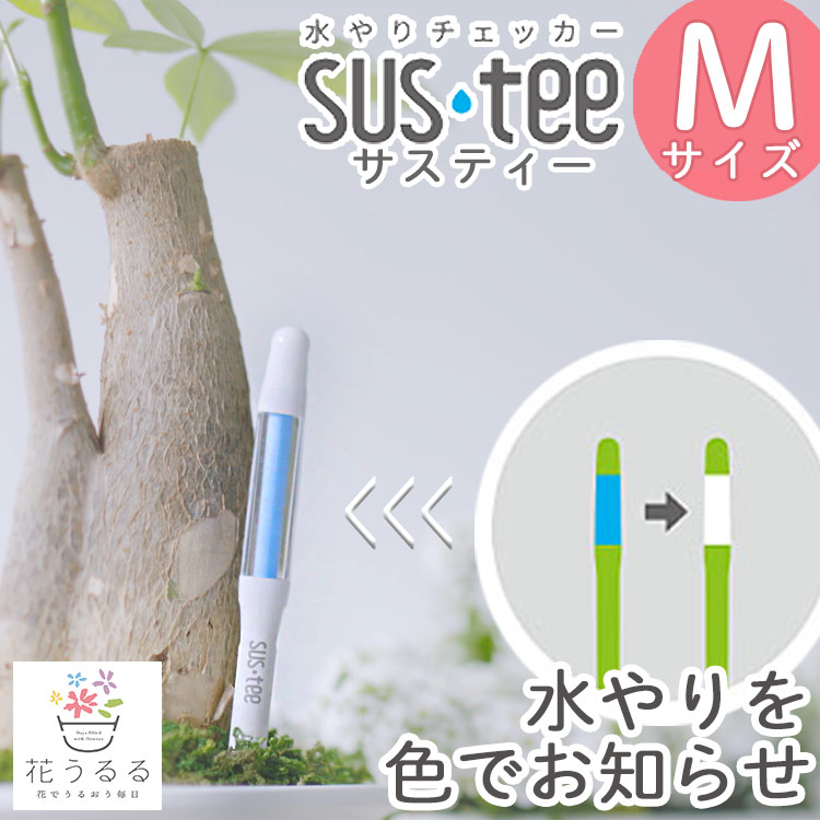 楽天市場】【交換用 リフィル ( 芯 ) Mサイズ 2本入】 同梱OK