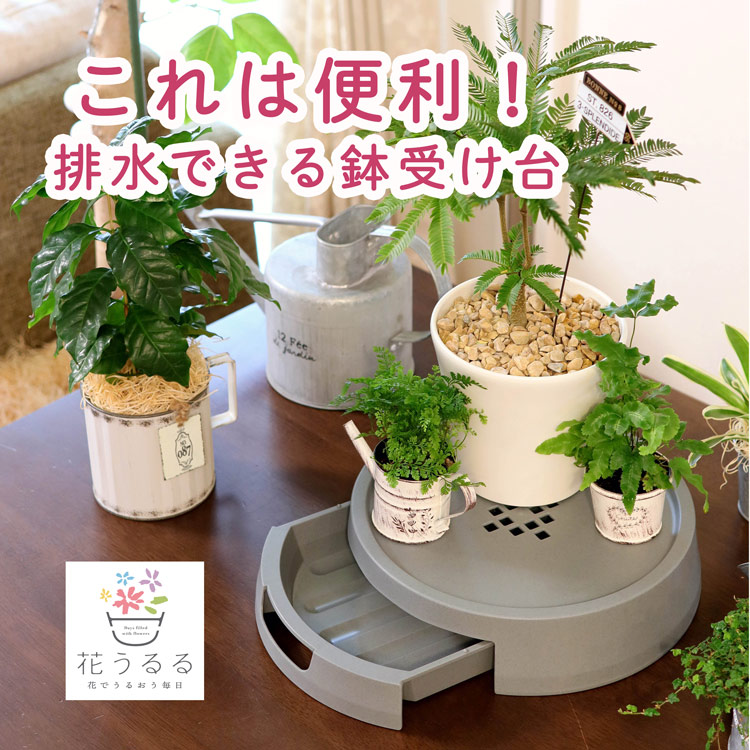 楽天市場】アップルウェアー 受皿付きスタンド 21型MID ガーデニング