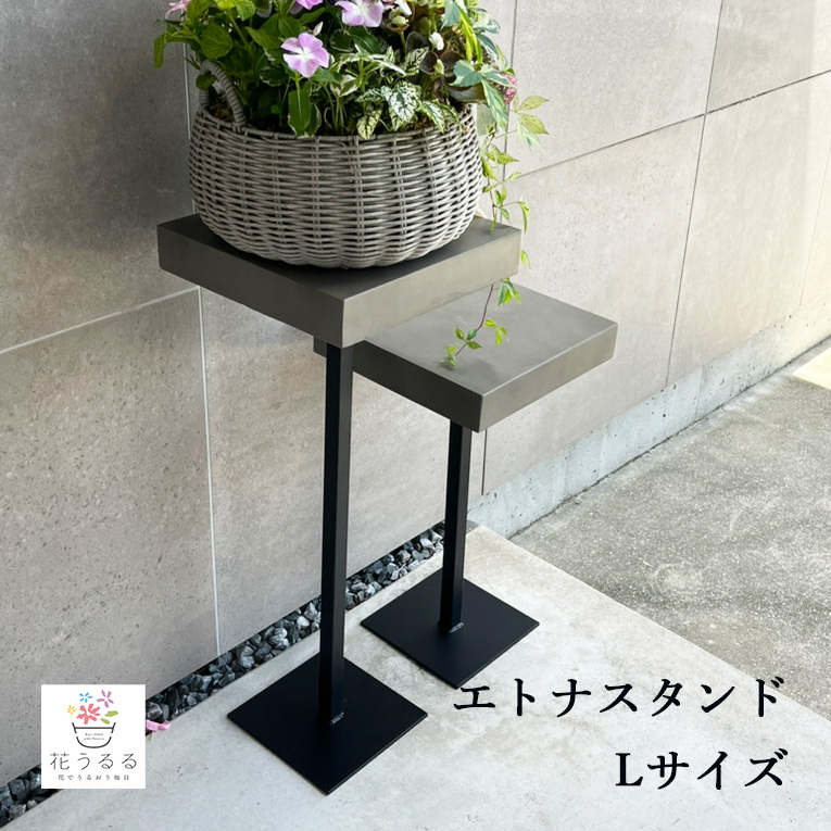 鬼木さんの秋色紫陽花｜押さえる此れから取って置く受け付け中