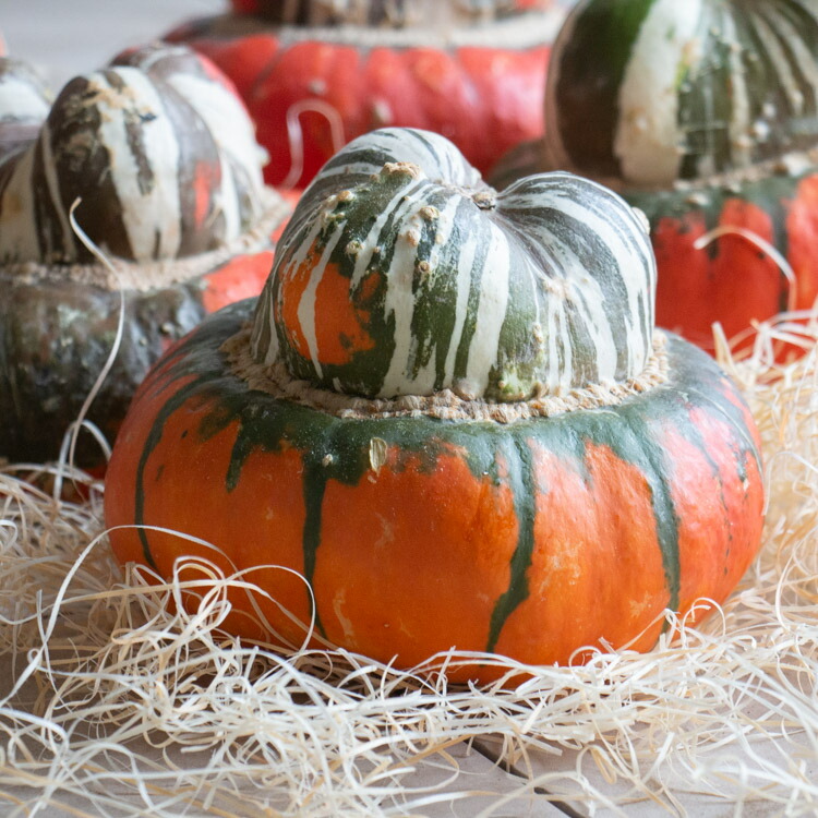 楽天市場】最終売り尽くし＼インパクト抜群／送料無料