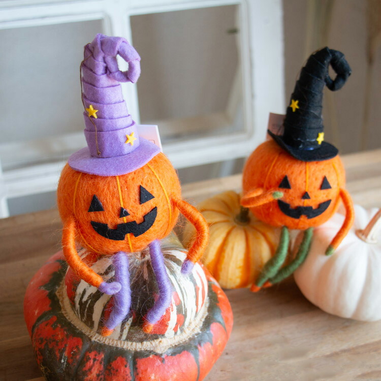 楽天市場】＼売り尽くし処分／ 【ミニかぼちゃ/おまかせ5個