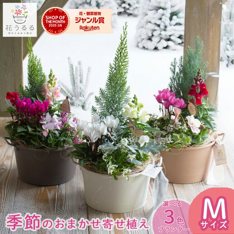 楽天市場】＼まるで本物の花うるる寄せ植え／ アーティフィシャル