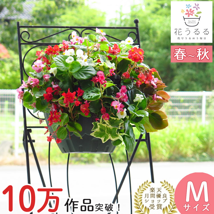 正規取扱店】 5％OFF ハンギングスタンド リース ハンギング フラワースタンド ホワイト 高さ93cm