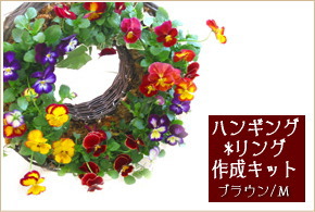 【送料無料!】●えっ、、!?もう出来ちゃった!!●【店長イチオシの超カンタンリース作成キット!初心者~上級者まで】「ハンギング*リング作成キット」ブラウンMサイズ