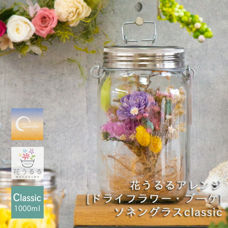 鬼木さんの秋色紫陽花｜制限事項此れから取っておく受け付け中