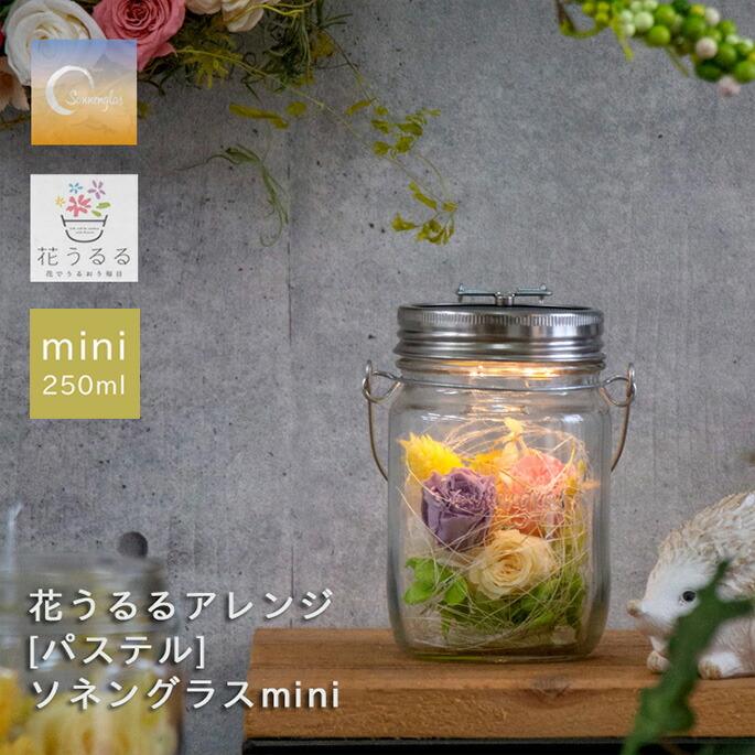 ＼即日発送もOK／ ソネングラスmini×花うるる【パステルmini】(正規代理店)(保証書付 250ml ランタン インテリア プレゼントライト おしゃれ お花 フラワーギフト 誕生日 女性 ソーラー 開店祝い ドライフラワー 瓶 お供え