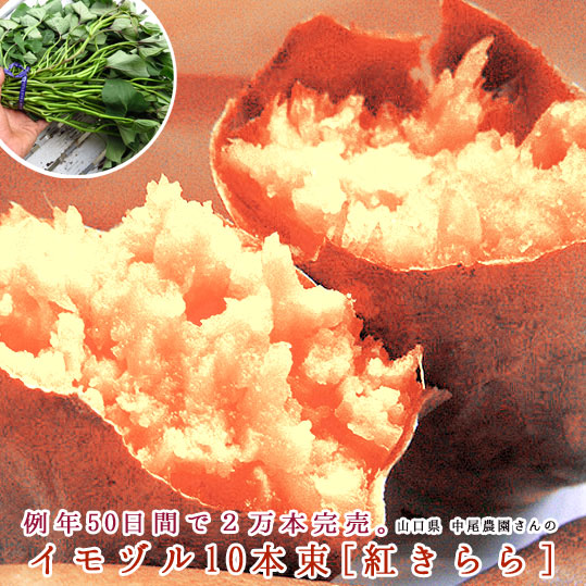 楽天市場】サツマイモ 苗 販売【中尾農園さんの安納芋 苗 10本