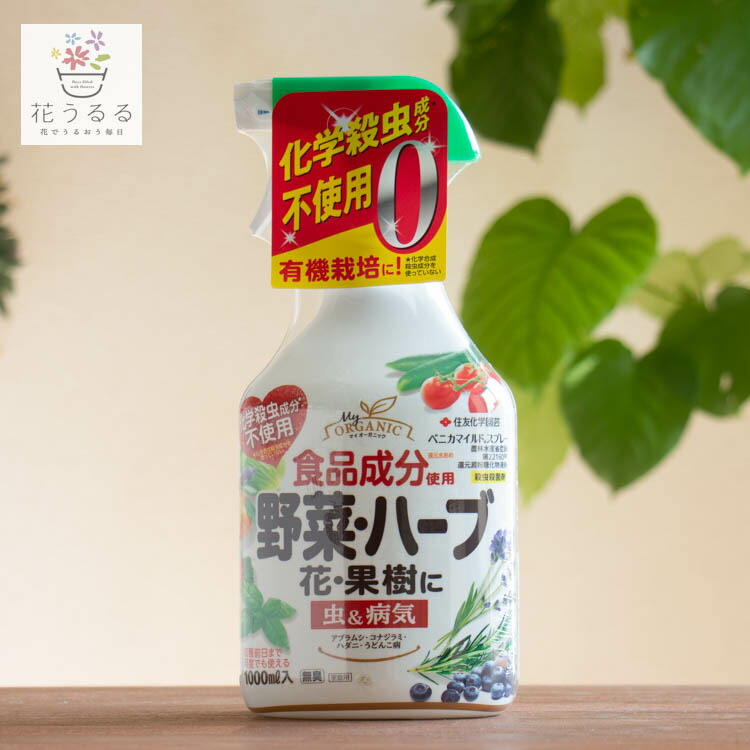 HB101 1リットル 植物活力剤　原液 ２本 Amazon | [フローラ] 植物活力剤 HB-101 即効性 原液 100ml