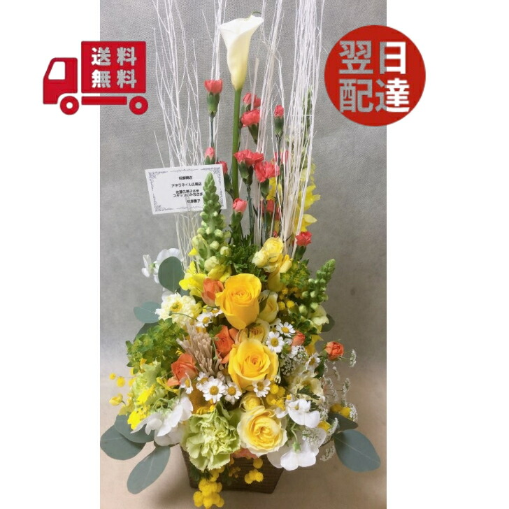 またの日送りとどける 開店の祝い事に！今めかしいな申し合わせ 【貨物輸送無料】 お花申し合わせ 差し上げ物 生み出すこと祝い事 今めかしい 花 生まれ落ちる日 個展 開店御祝 御祝 クリスマス 送別 お正月 敬老の日 生け花