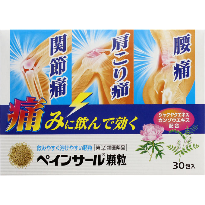 【第(2)類医薬品】【3個セット】ノーエチ薬品 ペインサール顆粒 30包 (4975687011389-3)