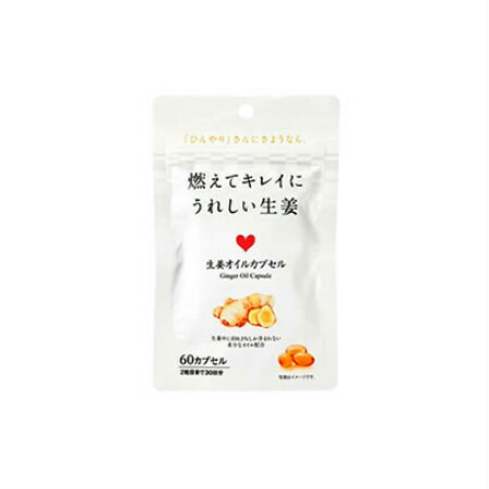 燃えてキレイにうれしい生姜 60カプセル 【10袋セット】 (4972991008098-10) 10,195円