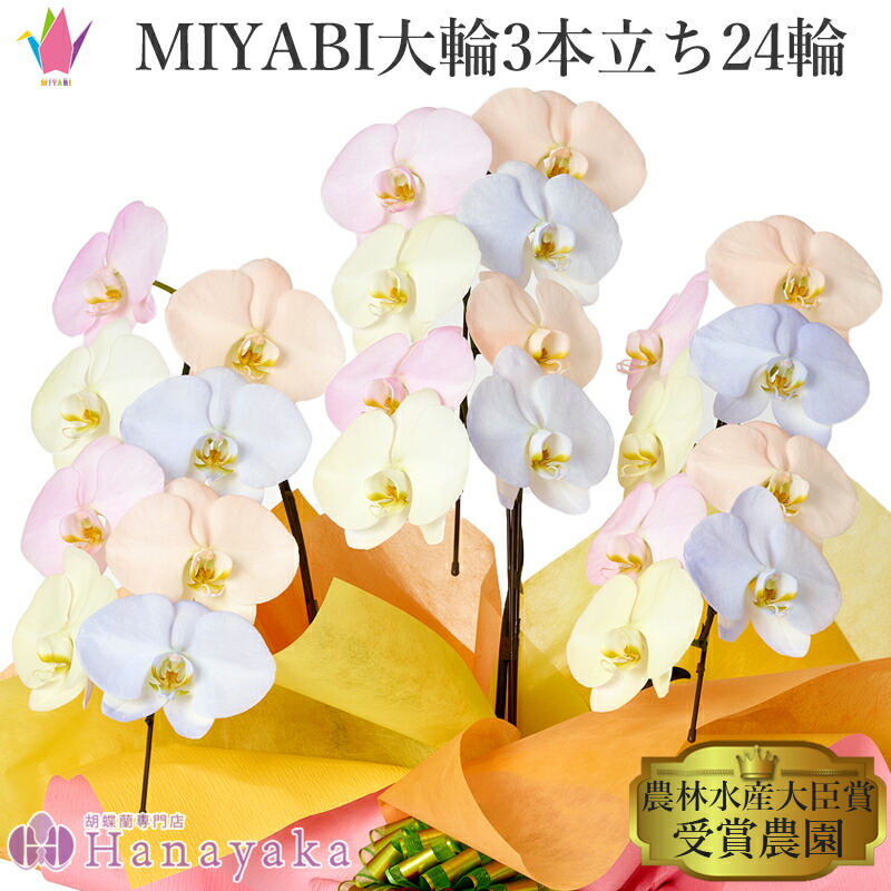 [SNSで話題 ] ME7857D5MRG (ME7857D5MRG)