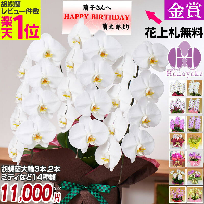 楽天市場 今だけ大輪白3本立ち27輪に輪数up 胡蝶蘭 ポイント5倍 大輪3本立ち 24輪 大輪2本立ち カララ ミディ5本立ち ミディ8本立ち 10本立ち お祝い プレゼント 花 ギフト 贈り物 お供え お誕生日 開店祝い 開業祝い 移転祝い 就任祝い 昇進祝い お供え