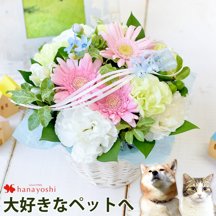 ラブリーペット お悔やみ 花 即日 すべての美しい花の画像