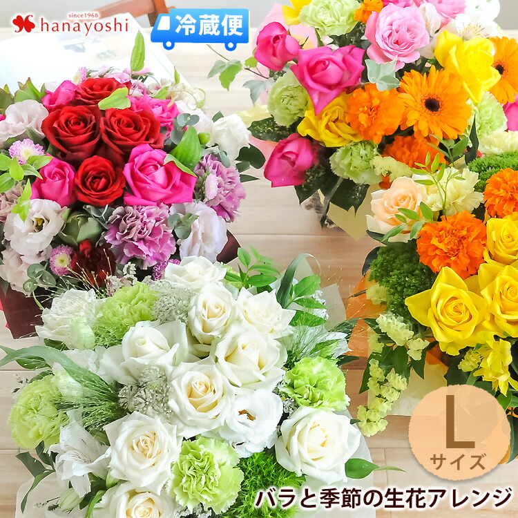 楽天市場 母の日 早割 送料無料 プレゼント ギフト 花 鉢植え ミニバラ バラ ローズ 薔薇 ばら 生花 寄せ植え バードケージ 鳥かご 籠 H50 No 49 おしゃれ かわいい 人気 小鳥付き 新月バラ園 Hitax フラワー グリーン 玄関 外 庭 赤 黄色