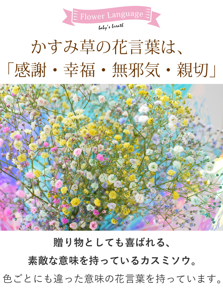 クール便でお届け かすみ草のブーケ プレゼント 女性 女友達 ギフト 花束 カラフル 母 誕生日 父 生花 花 カスミソウ 祖母 フラワーギフト 七夕