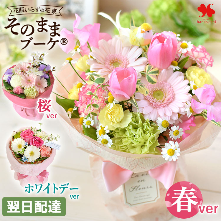 タイサンボク リトルジェム 3.5号ポット 挿し木苗