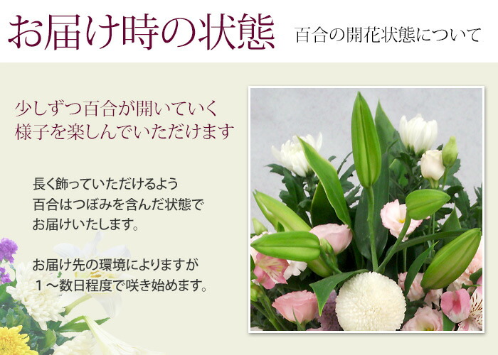 直送商品 特製剣山 小丸 直径49mm 丸型 ゴムリング付 日本製 生け花 花器 華道 フラワーアレンジメント