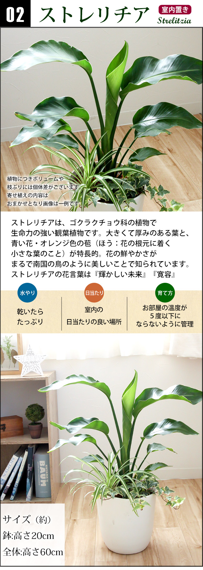 掛け時計 ゴ ルド エンゼルオーバル 振り子時計 壁掛け時計 乙 掛時計 北欧 時計 家什 振り子時計 韓国 インテリア