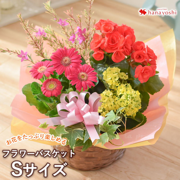 お花のプチギフト16選 低予算でも喜ばれる花束のプレゼントを Petitgifts By Memoco