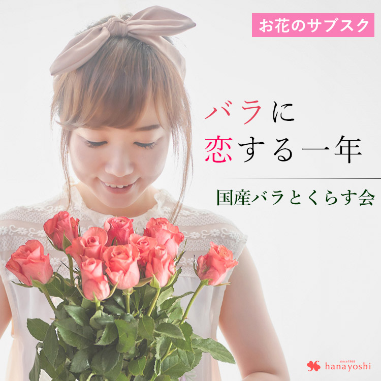楽天市場 毎月届く 国産バラの頒布会 バラに恋する一年 送料無料 花のある暮らし おうち時間バラ 生花 切り花 サブスク 1年間コース フラワーマーケット花由