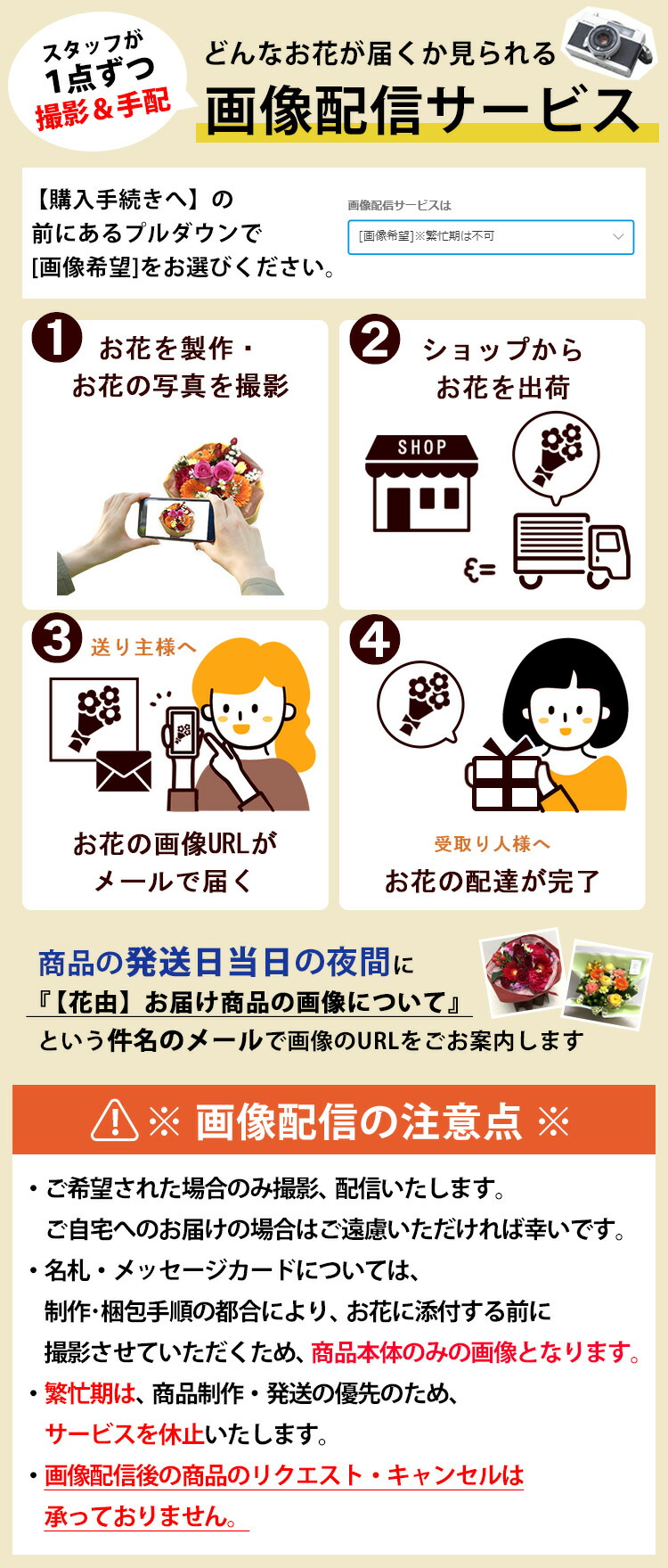 郷里直送 岩礁さんの 重重にプレミアム蝶々蘭 コチョウラン 洋蘭 大円型 篇章立ち 45輪以上胡蝶蘭 花 開店お祭 開業祝い 周年祝い 開院祝い 移駐 祝い 挙行 開店開業 引出物 ラン 降誕恒星日 花 お供え お悔やみ フォトグラフ配達 貨物輸送無料 Marchesoni Com Br