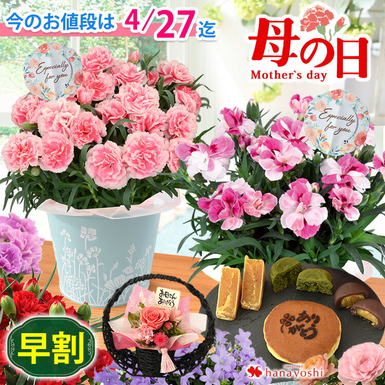 楽天市場】【4/24 20時～☆ポイント5倍】早割 母の日 花