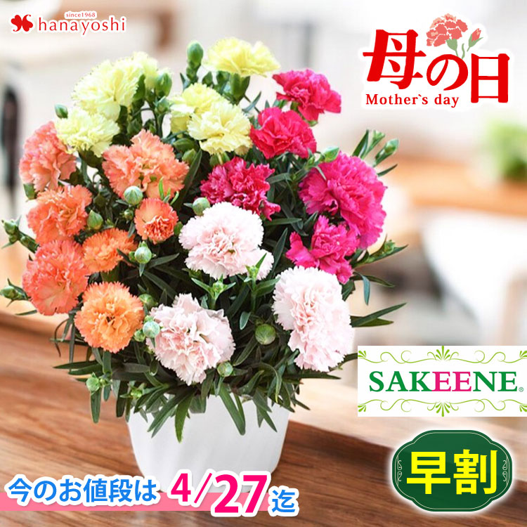 楽天市場】【4/24 20時～☆ポイント5倍】早割 母の日 花