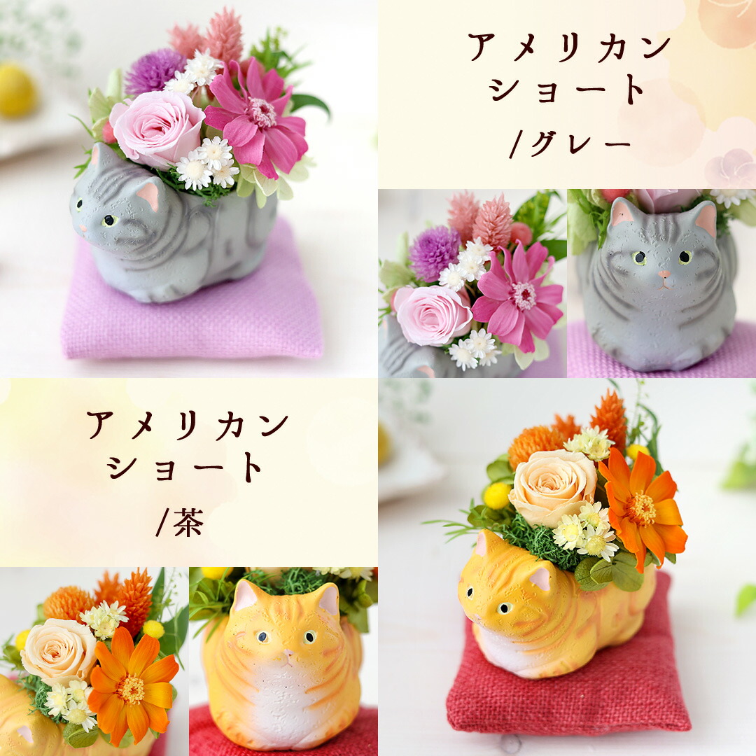 翌日配達 プリザーブドフラワー 「くつろぎねこ」 7種 ねこ 猫 花 ネコ