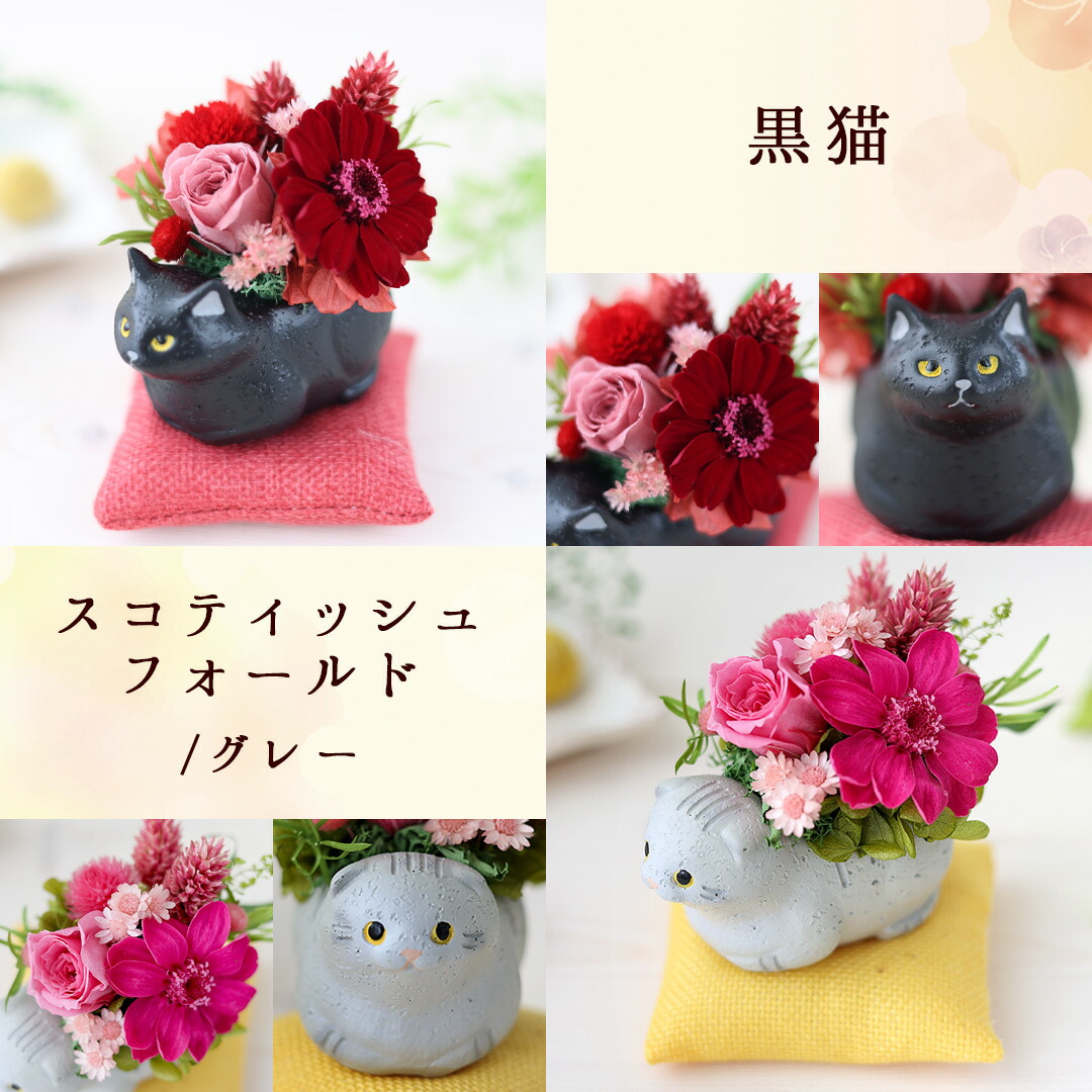 ぐでねこ『8月☆フラワー×5色②』 翌日配達 プリザーブドフラワー 「くつろぎねこ」 7種 ねこ 猫 花 ネコ