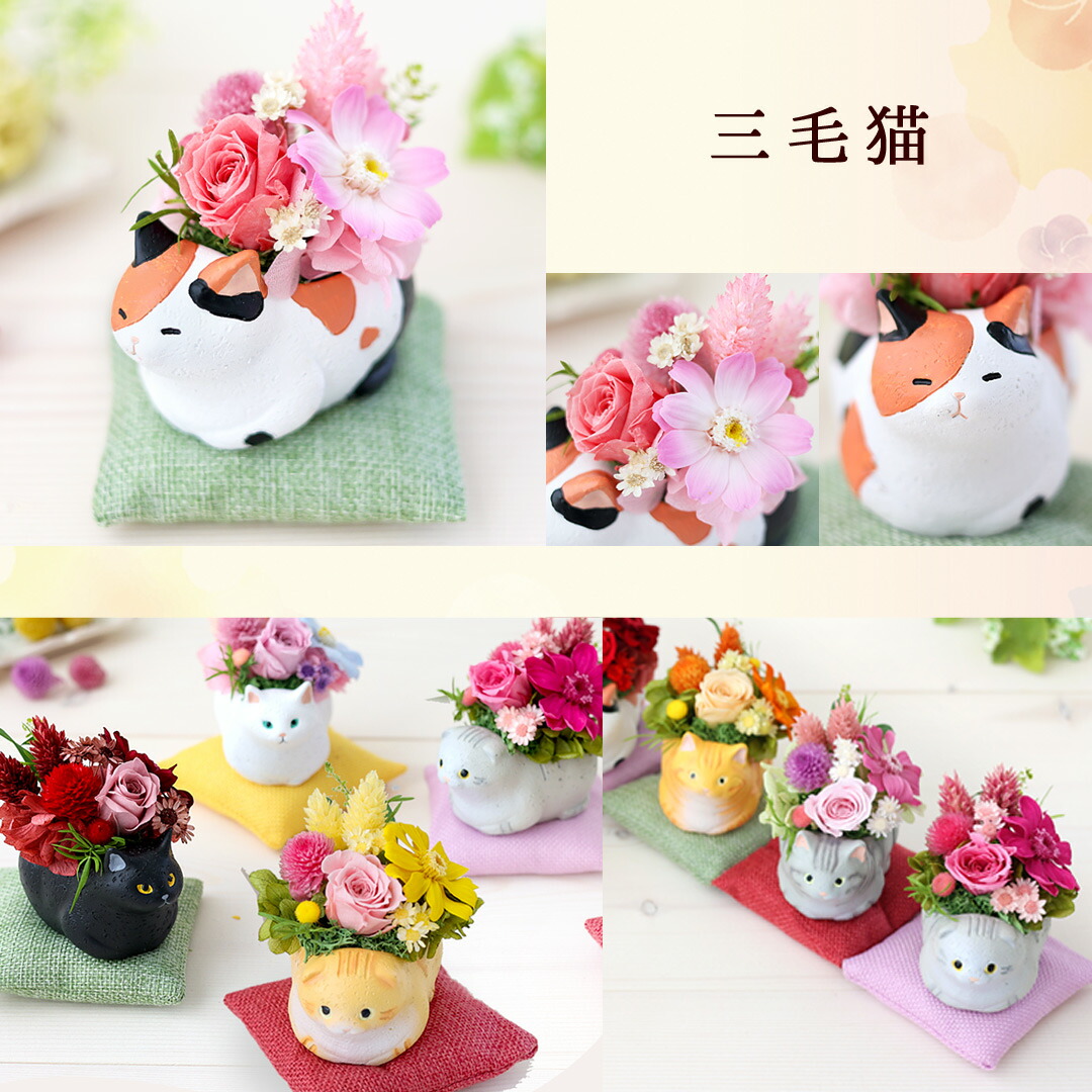 翌日配達 プリザーブドフラワー 「くつろぎねこ」 7種 ねこ 猫 花 ネコ