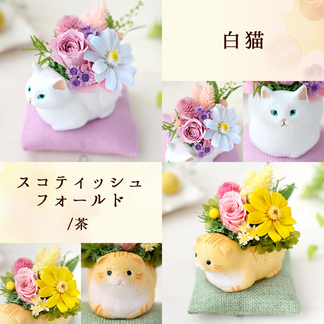ぐでねこ『8月☆￼フラワー5色』 翌日配達 プリザーブドフラワー 「くつろぎねこ」 7種 ねこ 猫 花 ネコ