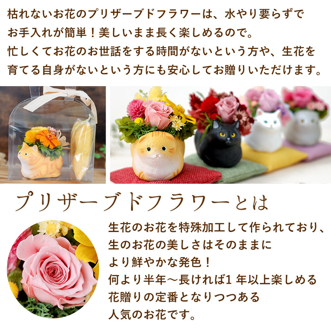 翌日配達 プリザーブドフラワー 「くつろぎねこ」 7種 ねこ 猫 花 ネコ