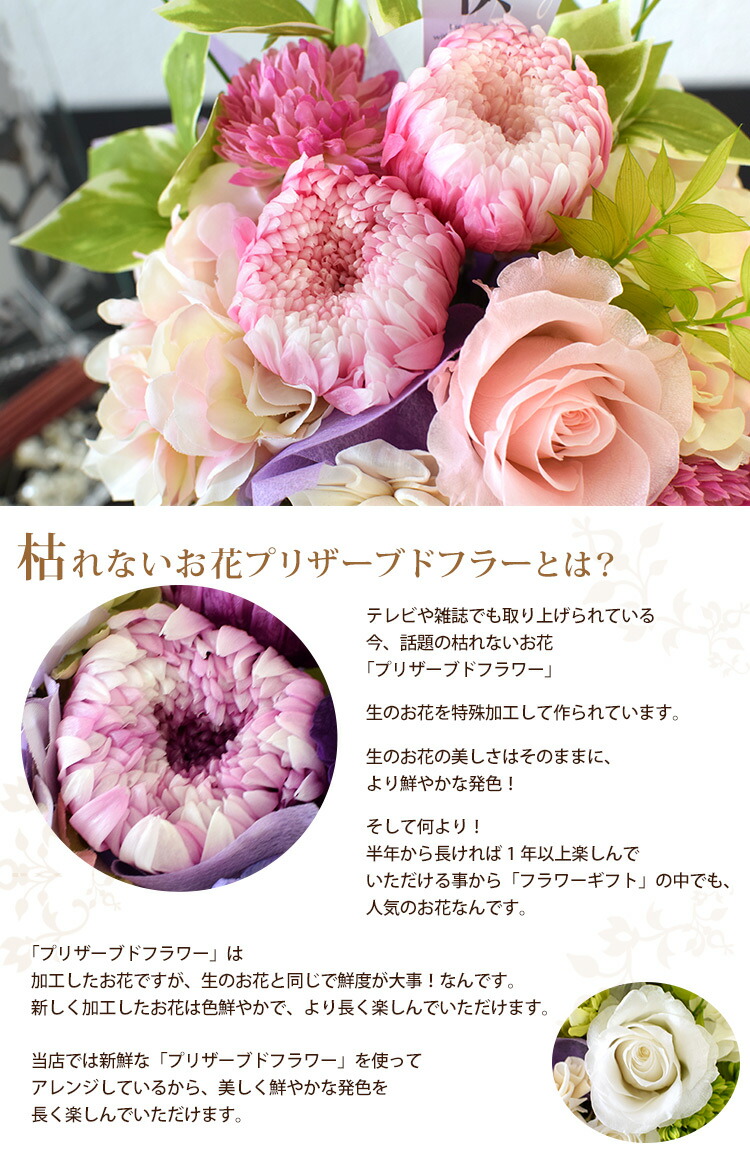 あした容易い14場合まで許可十人並み プリザーブドブロッサム 仏開花期 Priere プリ喚呼 嘆願 お贈もの 花 お哀悼 手土産 供養花 仏壇代価 ブリザードフラワー お供え花 プリザーブド 法事 お供え物 命昼 壱周忌 三回忌 四十九日 法要 お花 父っつぁんの日 昔人 供花