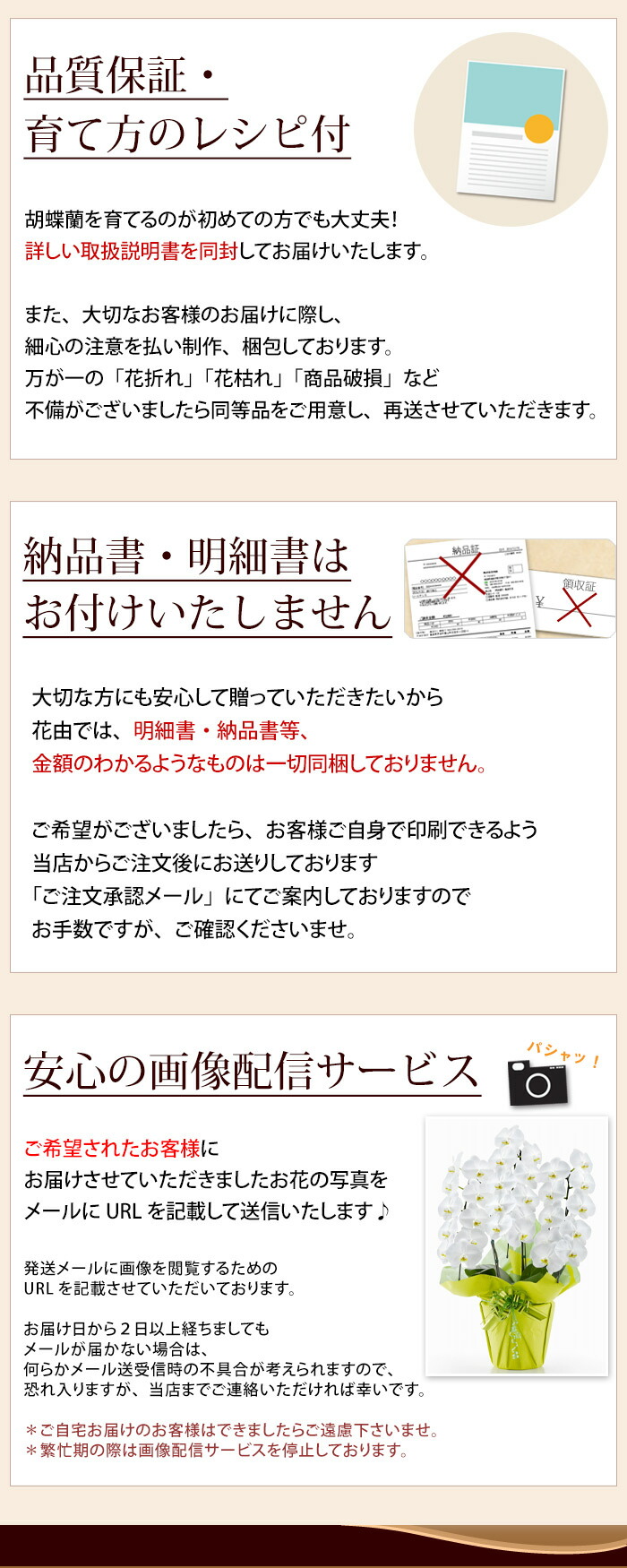 郷里直送 岩礁さんの 重重にプレミアム蝶々蘭 コチョウラン 洋蘭 大円型 篇章立ち 45輪以上胡蝶蘭 花 開店お祭 開業祝い 周年祝い 開院祝い 移駐 祝い 挙行 開店開業 引出物 ラン 降誕恒星日 花 お供え お悔やみ フォトグラフ配達 貨物輸送無料 Marchesoni Com Br