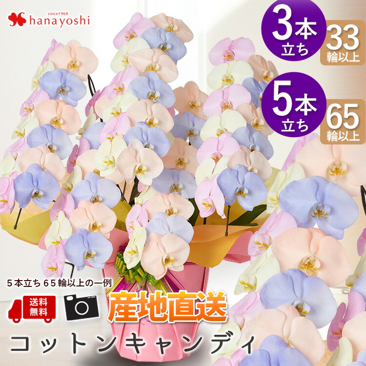 お買いとりがさらにお得になる♪社会的運動\u0026引き換え証案内書を要照合のしるし！