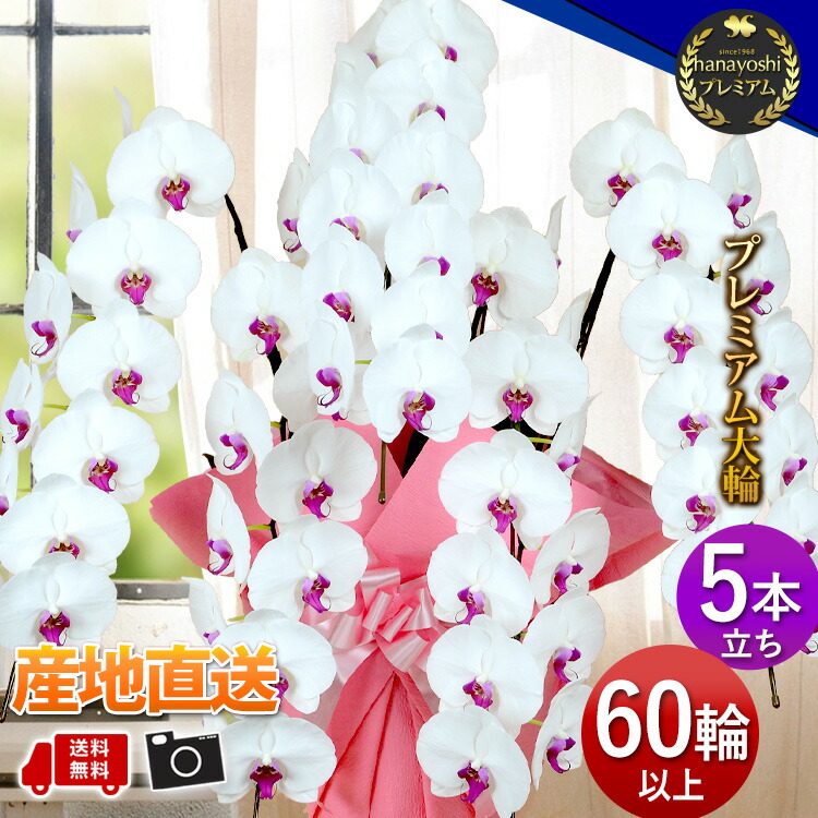 炎節差し上げ物特集