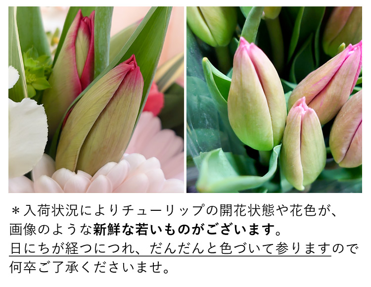 クリックで詳細を表示