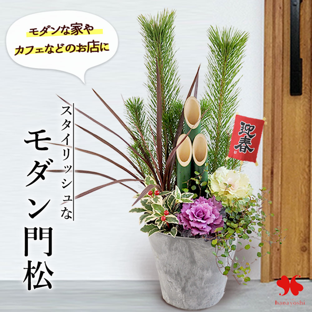 楽天市場】【早期予約品】南天の寄せ植え 12号鉢植え【お正月 千両/万