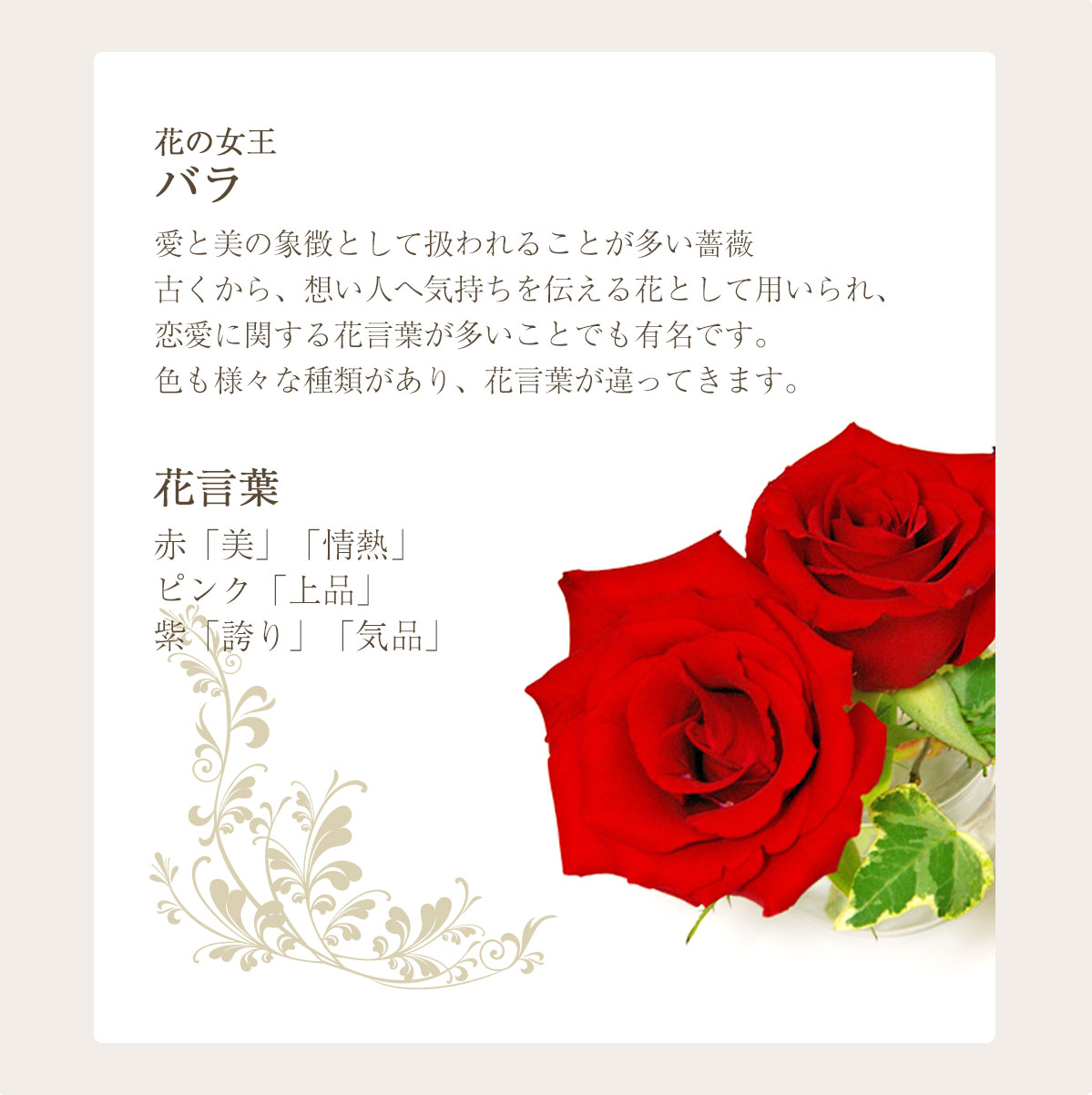 新作商品 バラと季節のお任せ花束 パープル Lサイズ 57cm 法人ギフト 開業祝い 開店祝い 公演祝い 就任祝い 昇格祝い 退職祝い 還暦祝い 引っ越し祝い 新築祝い 誕生日 記念日 結婚祝い 結婚記念日 サプライズ プロポーズ 退院祝い 敬老の日 母の日 Fucoa Cl