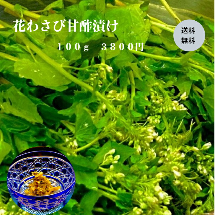 花わさび　2kg　本日発送 楽天市場】わさび 花の通販