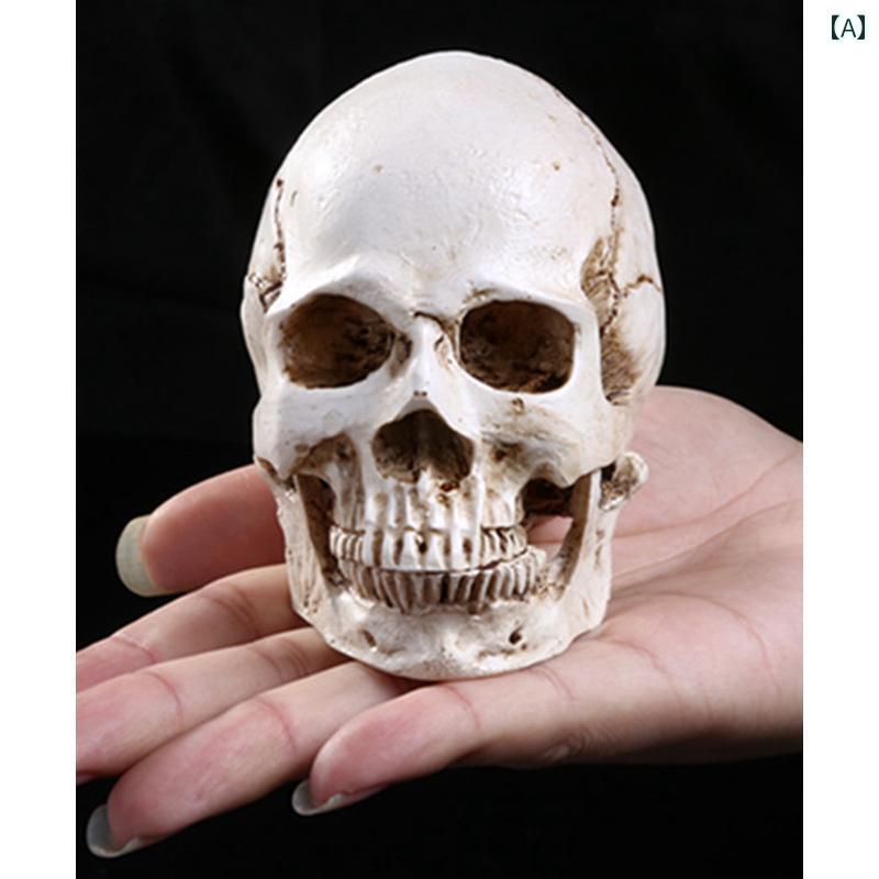 楽天市場】10001419 スカル ドクロ 骸骨 木製スカル バリ雑貨 アジアン