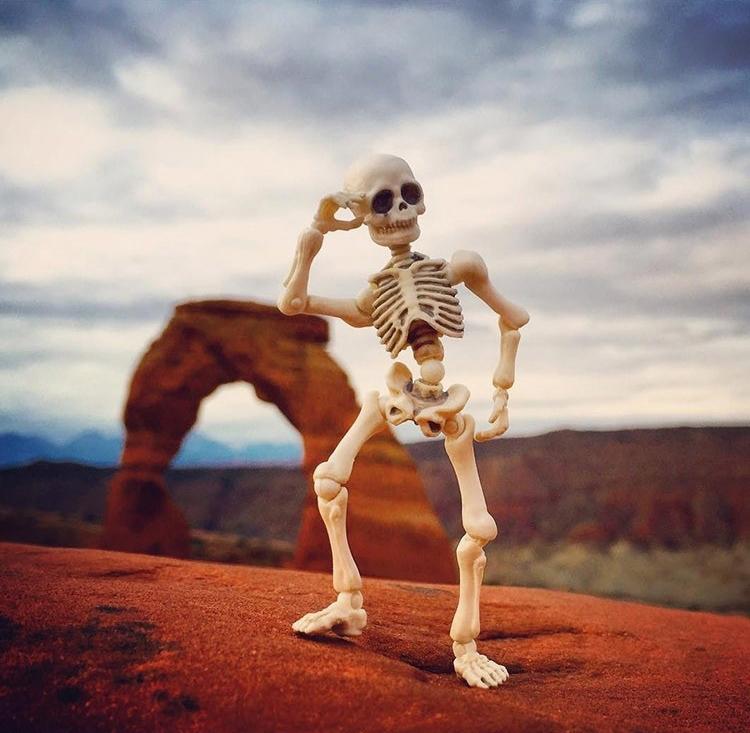 楽天市場】マスターマインドジャパン・MASTERMIND JAPAN SKULL KID