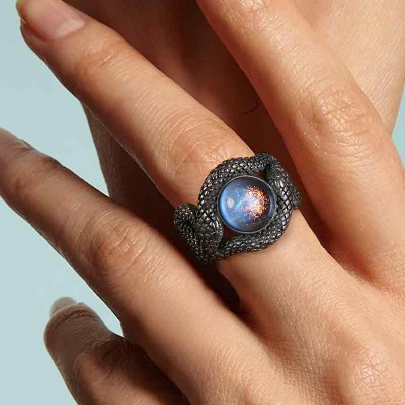 指環 大遊星 しろがね色 黒いこと 輪っか 蛇 巳年 男女兼用 冷やりとした 特殊 ダブル 長蛇 亜米利加 個人的特徴的