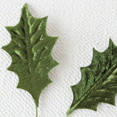 ヒイラギ　ホーリー tn06-b64n999-01.jpg