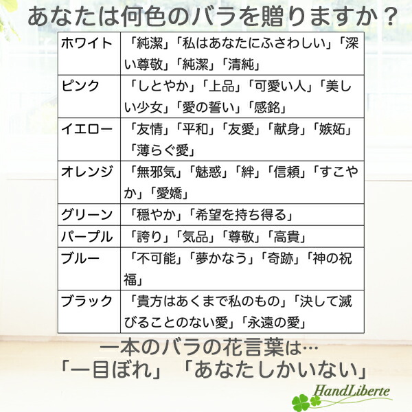 プリザーブドフラワー花材 プリザーブドフラワー 花材 フラワーアレンジメント ドライフラワー ミニ花材 花材セット 詰め合わせ ローズ 薔薇 母の日 女性 結婚式 誕生日 記念日 プチギフト 8輪 おしゃれ きれい かわいい 贈り物 材料 ハンドメイド 手作り Umu Ac Ug