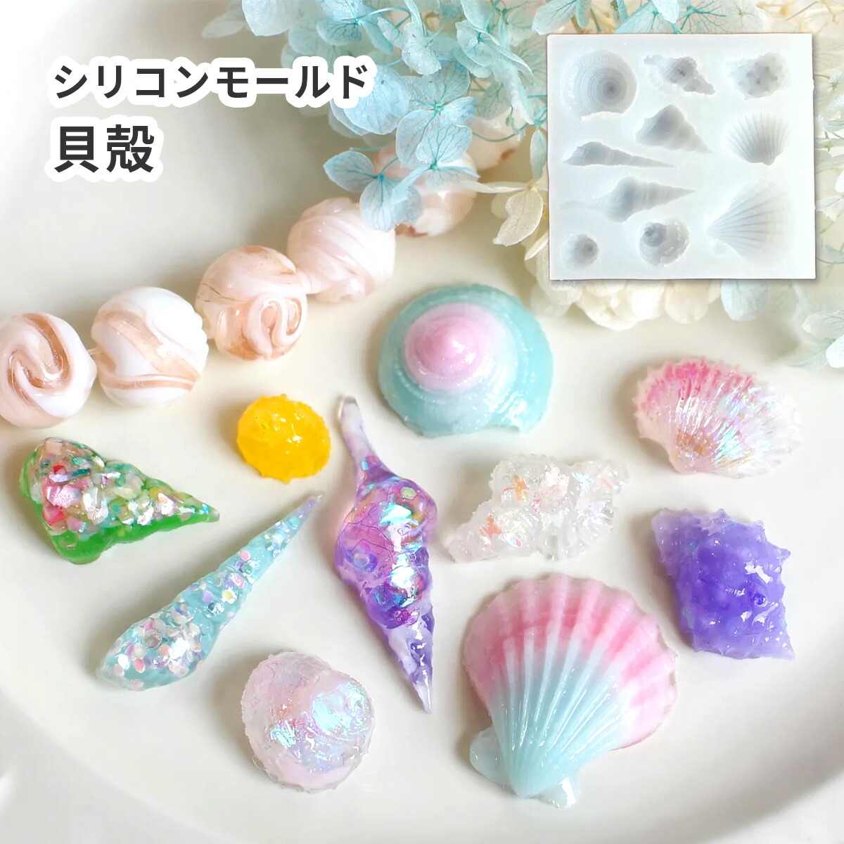 珍しい貝殻のセット Amazon.co.jp: siawadeky カラフル 貝殻 500g アソート セット