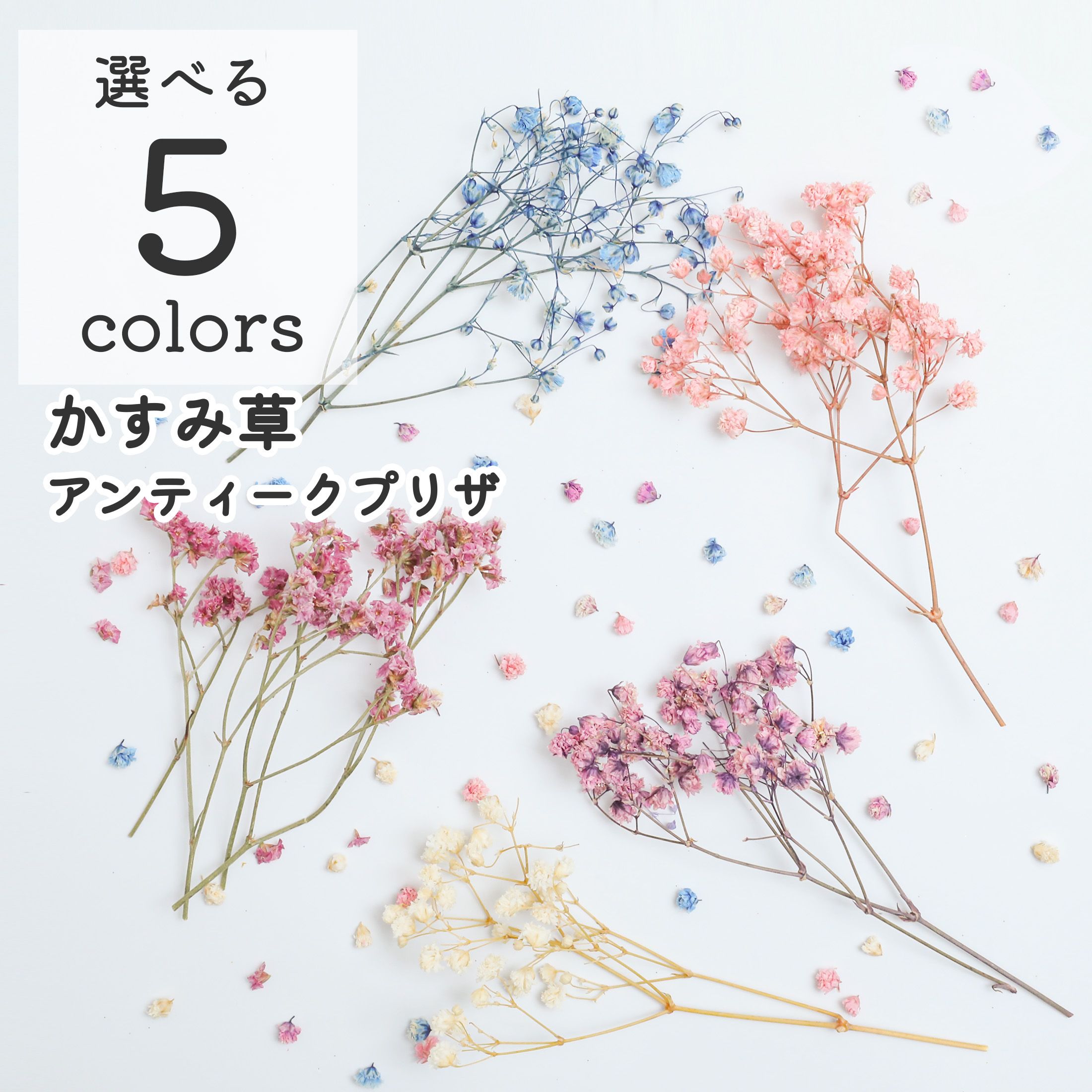 楽天市場】【花材 小分け】 桜の花びら 6枚入り さくら